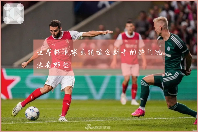 世界杯滚球竞猜适合新手的热门玩法有哪些