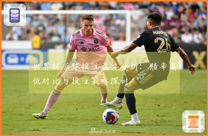 世界杯买球投注盘口分析：赔率高低对比与投注策略探讨