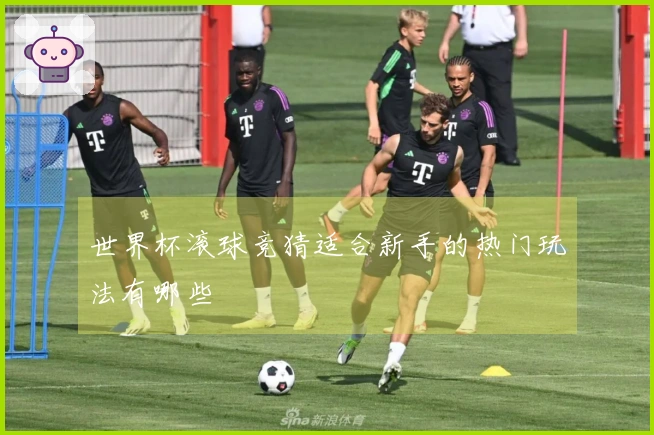 世界杯滚球竞猜适合新手的热门玩法有哪些