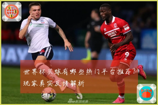 世界杯买球有哪些热门平台推荐？玩家真实反馈解析