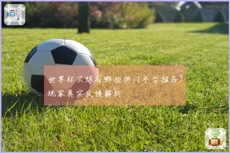 世界杯买球有哪些热门平台推荐？玩家真实反馈解析