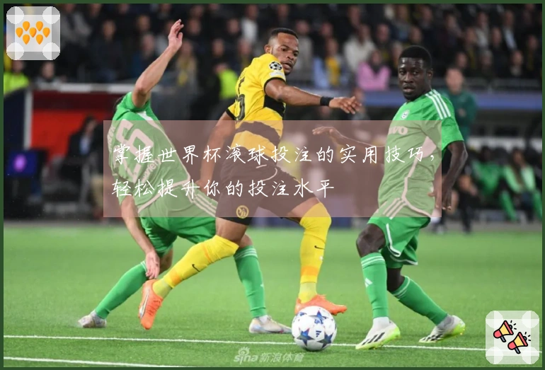 掌握世界杯滚球投注的实用技巧，轻松提升你的投注水平