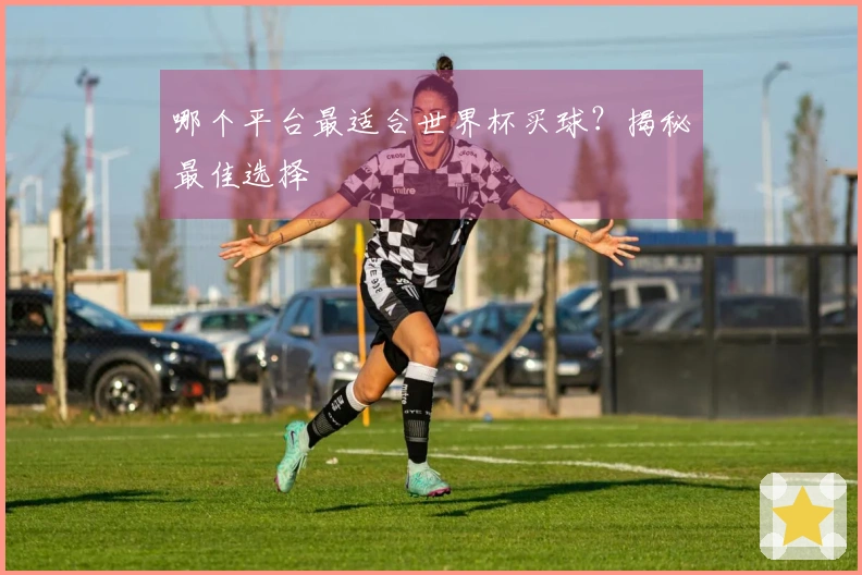 哪个平台最适合世界杯买球？揭秘最佳选择