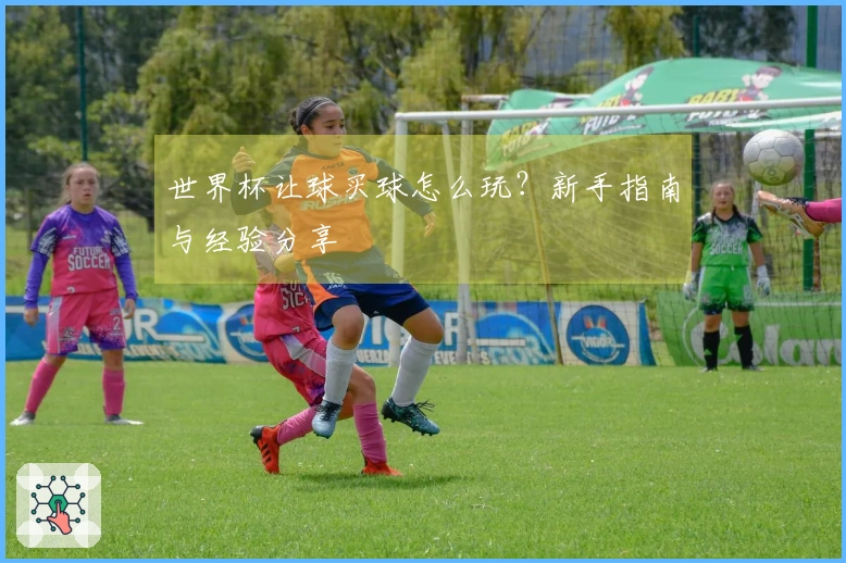 世界杯让球买球怎么玩？新手指南与经验分享