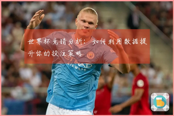 世界杯竞猜分析：如何利用数据提升你的投注策略