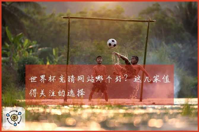 世界杯竞猜网站哪个好？这几家值得关注的选择