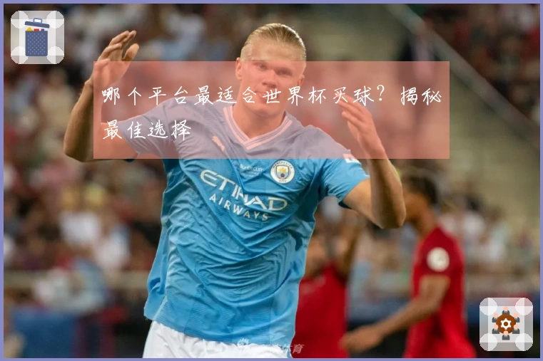 哪个平台最适合世界杯买球？揭秘最佳选择
