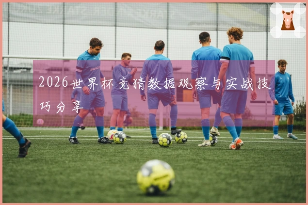 2026世界杯竞猜数据观察与实战技巧分享