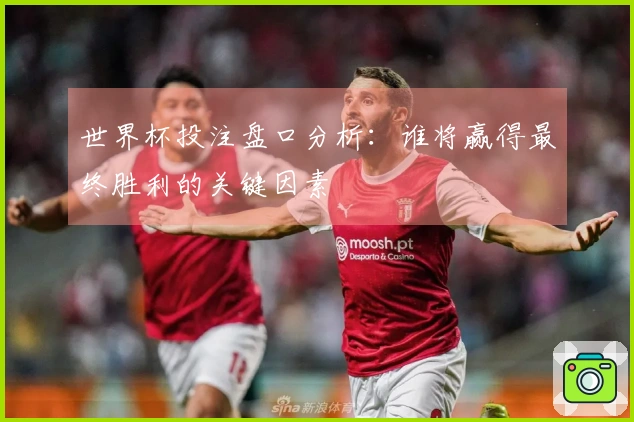 世界杯投注盘口分析：谁将赢得最终胜利的关键因素