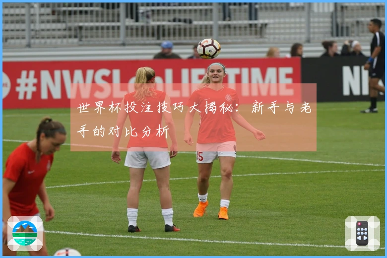 世界杯投注技巧大揭秘：新手与老手的对比分析