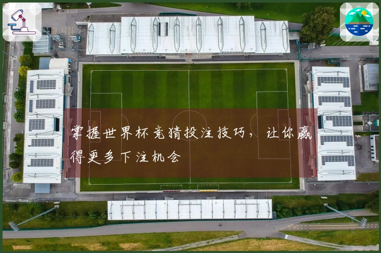 掌握世界杯竞猜投注技巧，让你赢得更多下注机会